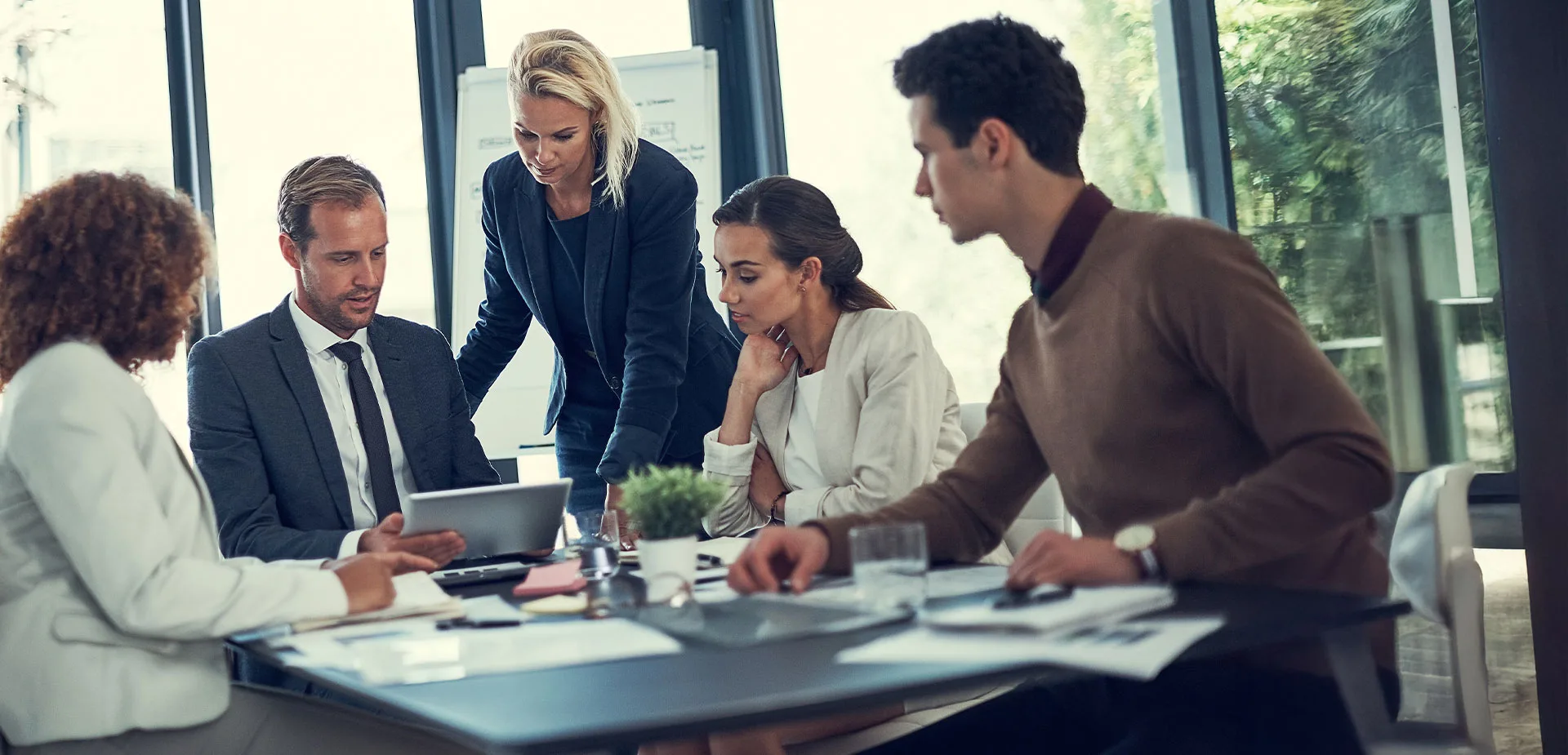 Asesoría profesional en contabilidad